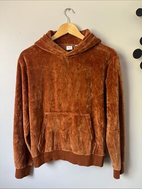 Women’s TNA 🐞 Aritzia Velour Hoodie Warm Umber